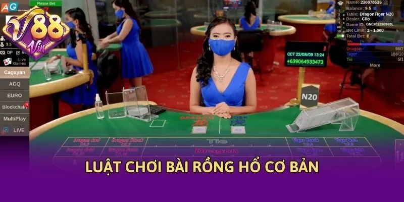 Luật chơi bài rồng hổ cơ bản