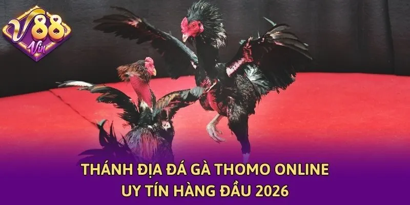 Thánh Địa Đá Gà Thomo Online Uy Tín Hàng Đầu 2026
